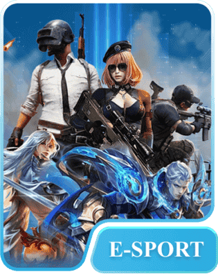 e-sport-88xx