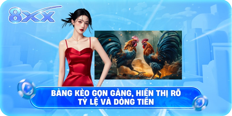 Bảng kèo gọn gàng, hiển thị rõ tỷ lệ và dòng tiền